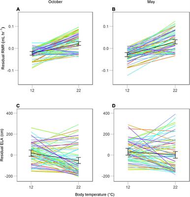 Individual Variation in Thermal Reaction Norms Reveals Metabolic-Behavioral Relationships in an Ectotherm